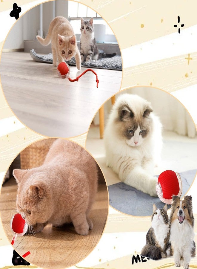 LARYNX Rolling Ball Toy for Pets, Interactive Cat Toys Rolling Ball, Interactive Dog Ball Toy with USB Rechargeable for Small, Medium Dogs - Image 5
